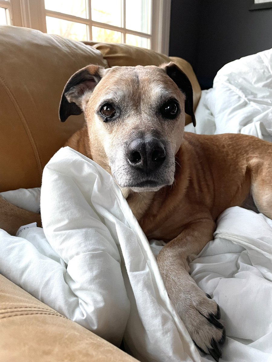 Jessica Webster tweet media