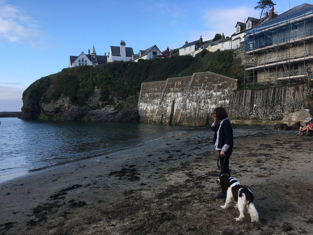 AdsDogCharlie's tweet photo. Here are some pics from #PortIssac
There were lots of friendly furs there https://t.co/Un1uYeGkMV