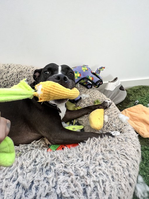 pic 4 is my fav https://t.co/pAumXnFmcp