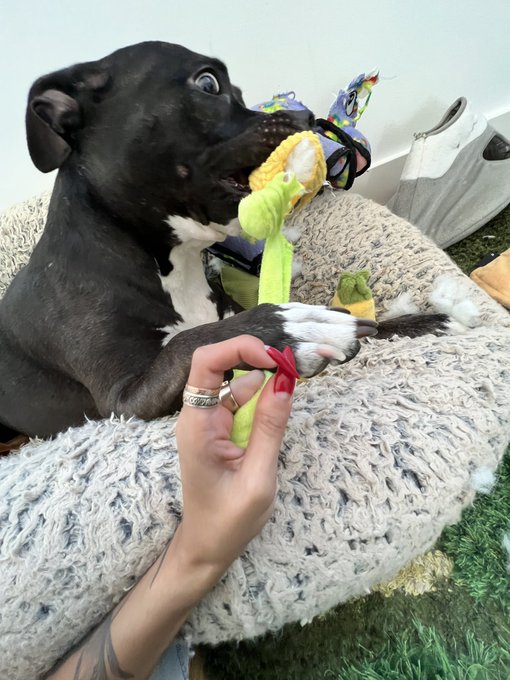 pic 4 is my fav https://t.co/pAumXnFmcp