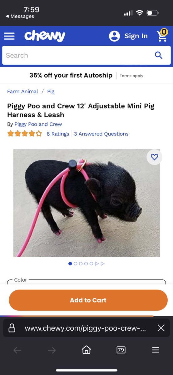 bbbeeccaa's tweet image. 