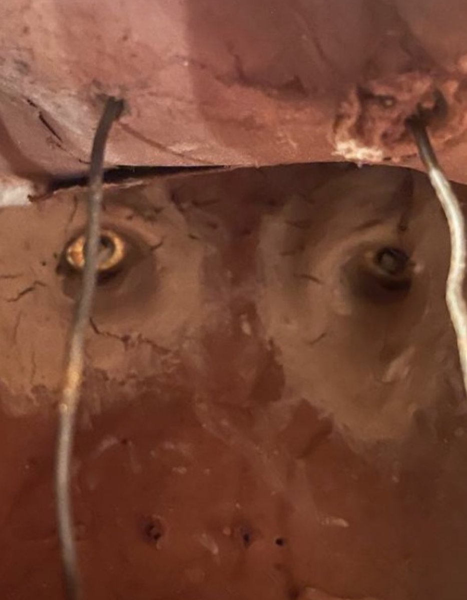 bbbeeccaa's tweet image. 