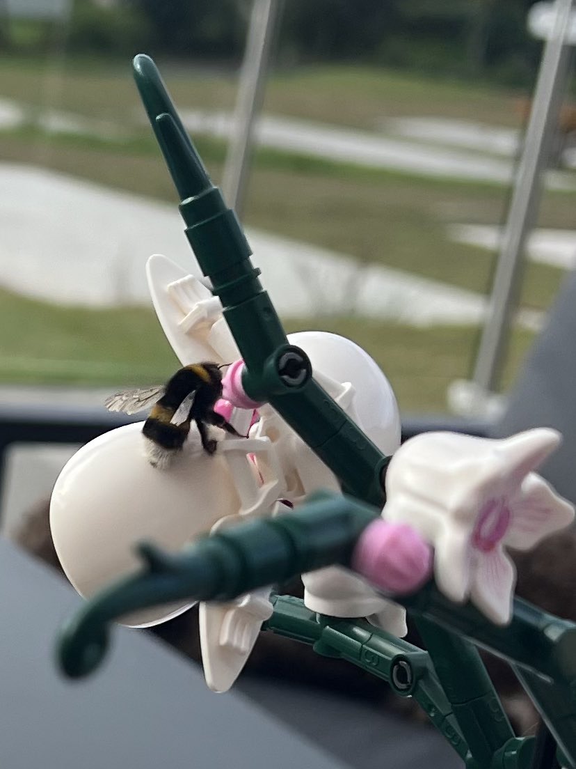 Simon Edgar tweet media