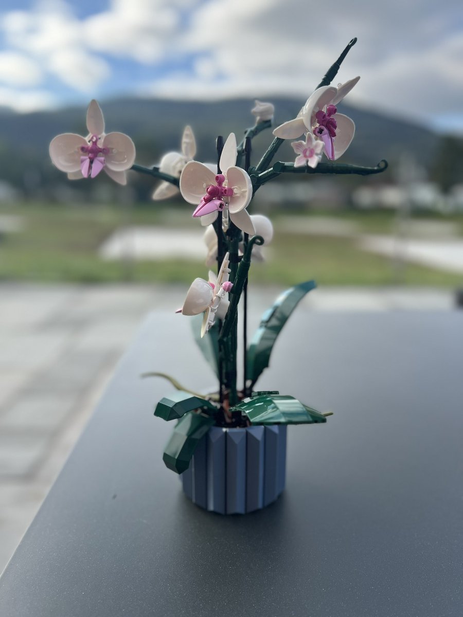 Simon Edgar tweet media