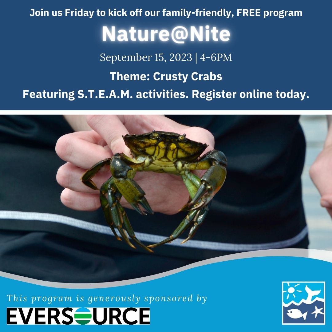 SeacoastSciCtr's tweet photo. Excited to kick off SSC's FREE, family-friendly evening program Friday 9/15, generously sponsored by @EversourceNH. Nature@Nite features #STEAM activities &amp; the 1st theme is crusty crabs! Register online https://t.co/QYCnb8bH81 #oceaneducation #inspiringconservation 🦀 https://t.co/OL7heHD76c