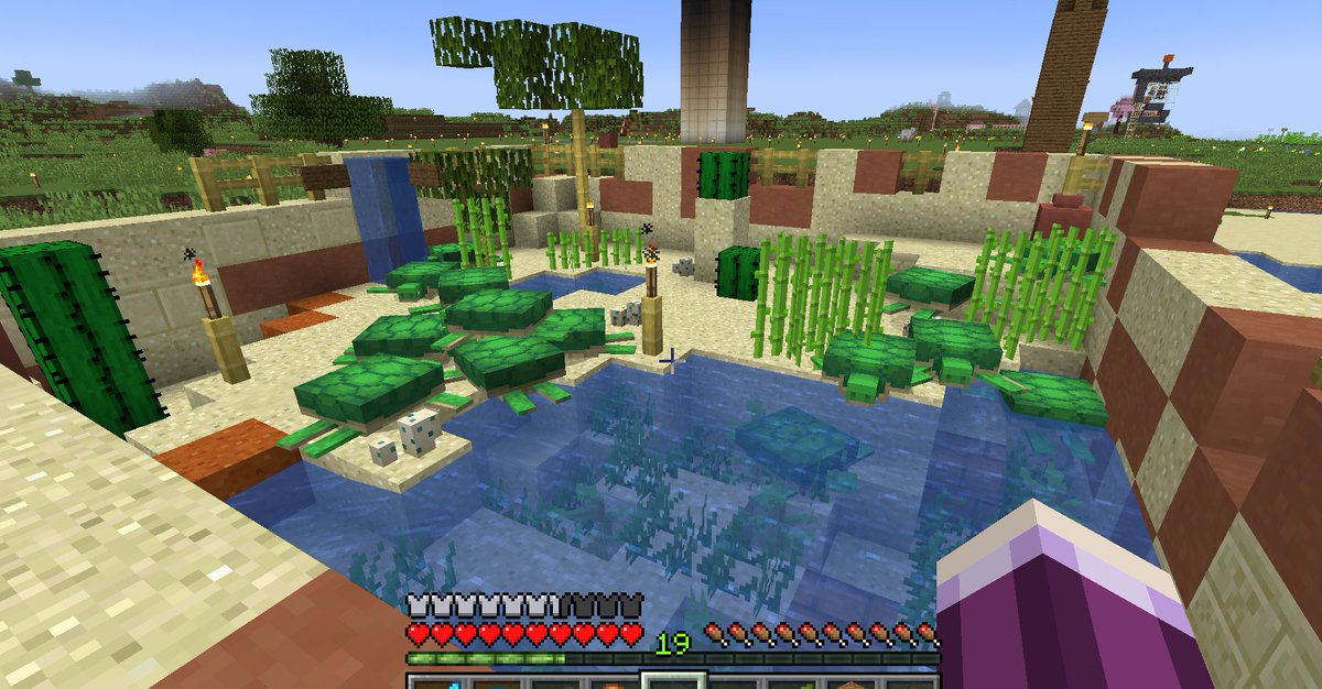 skunkVT's tweet image. DO U LIKE MY TORTLE SANCTUARY???????