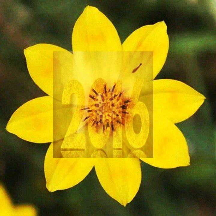 #2016😍
#አማን_ኢማን_ጀባ
#ጤና_ሰላም_ሁሉ_ጀባ_ሙሀባ_ጀባ
#ሁሉም_ሰርቶ_ይግባ
#የተጣላ_ያስታርቅልን
#ሸረኛ_ምቀኛውን_ገለል_ያርግልን
#ሀገራችን_ሰላም_ያርግልን 
#የምንሳቀቅበት_ሳይሆን_የምንስቅበት
#ፈጣሪ_ያርግልን
  #ዱዓ_ያለበት_አለ_አሚን_በል❤😍