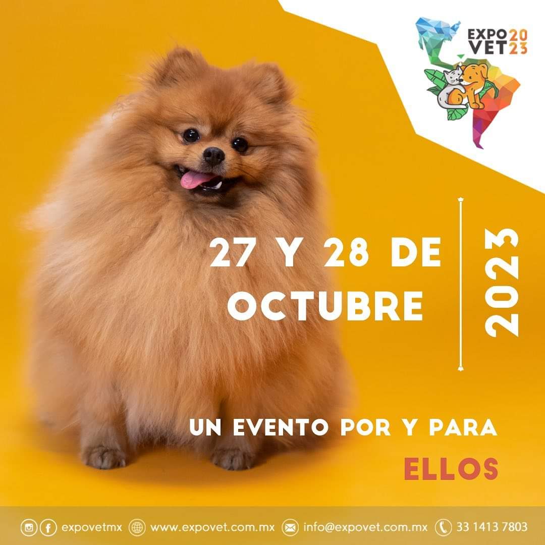 🐾 ¡Atención amantes de las mascotas! 🐶🐱 Prepárense para una experiencia única en ExpoVet 2023, donde el mundo de las mascotas cobra vida. Adquiere ya tus entradas: acortar.link/ZECbeQ #ExpoVet2023