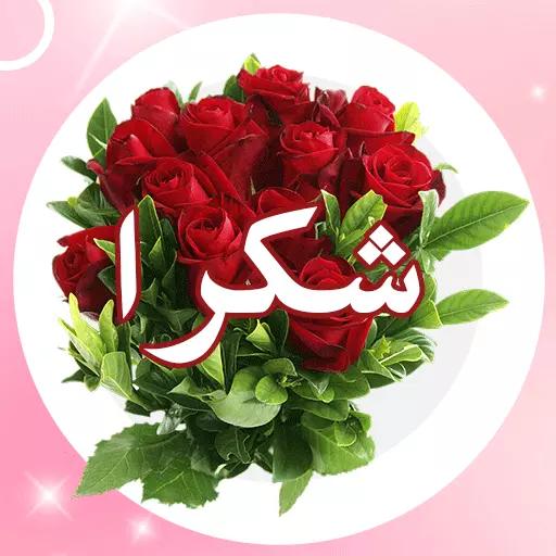 🌹شکرا لکل القائمین علی تویتر... دوام التقدم والنچاح....