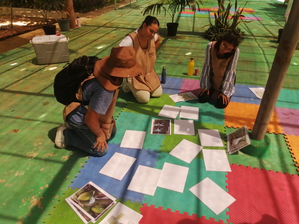 Junto con el Departamento de Cultura Ambiental, exploramos el parque <a href="/hunab_mexico/">HUNAB ProyectoDeVida</a>  en una divertida actividad "Busca Hunabve". Descubrimos más de 100 aves en la Península de #Yucatán. ¡Gracias a Maritza Morales  por la invitación! #MéridaSustentable <a href="/RenanBarrera/">Renán Barrera</a> <a href="/AyuntaMerida/">Ayuntamiento Mérida</a>