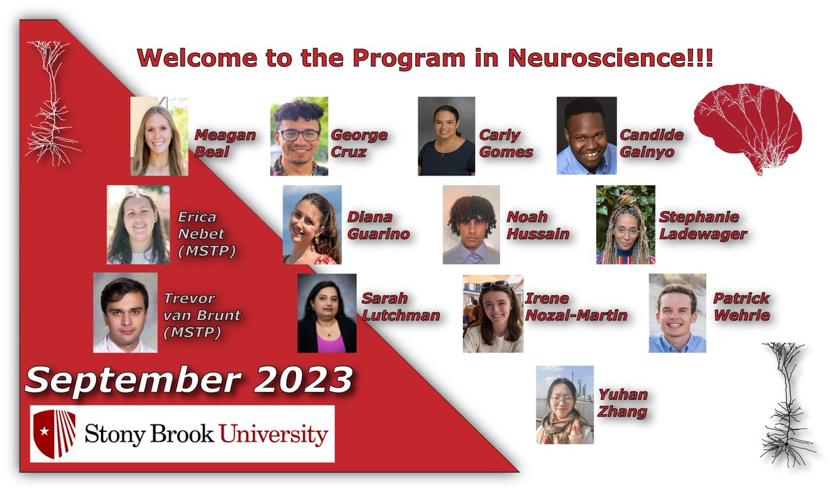 🧠🎉 Excited to welcome our new first-year Ph.D. students to the Department of Neurobiology and Behavior! 🎉🧠 Here's to new beginnings and the amazing contributions you'll make. Dive deep into the wonders of the brain! 🧪🔬 #NeuroBiology
