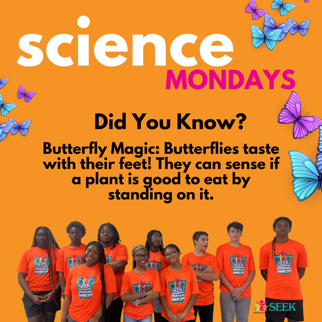 seek_inc's tweet image. Butterflies have a unique way of exploring their world, including tasting things with their feet! 🦋✨ Their feet are incredibly sensitive, filled with tiny sensors. When they land on a leaf or flower, they use their feet to taste the surface. #ButterflyMagic #NatureWonders