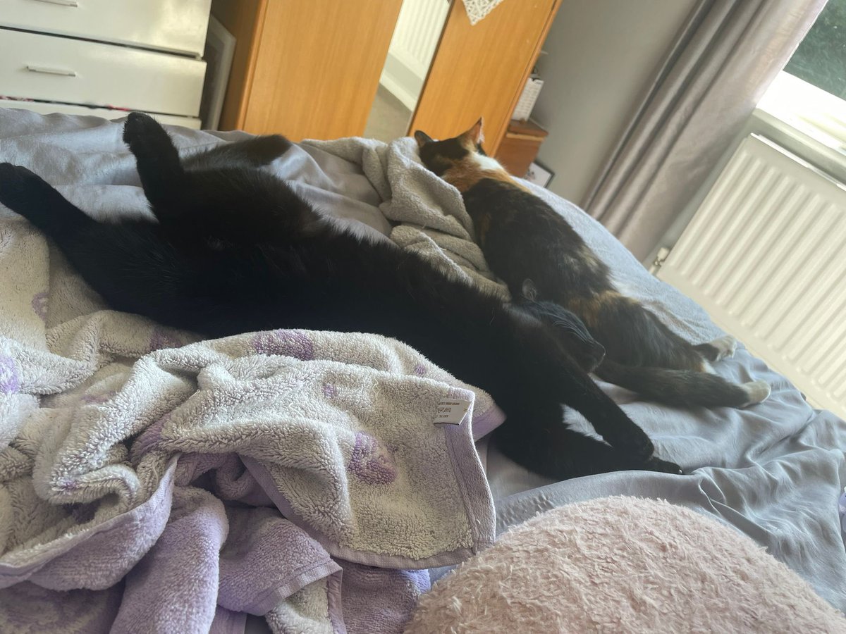 Zac Austin tweet media