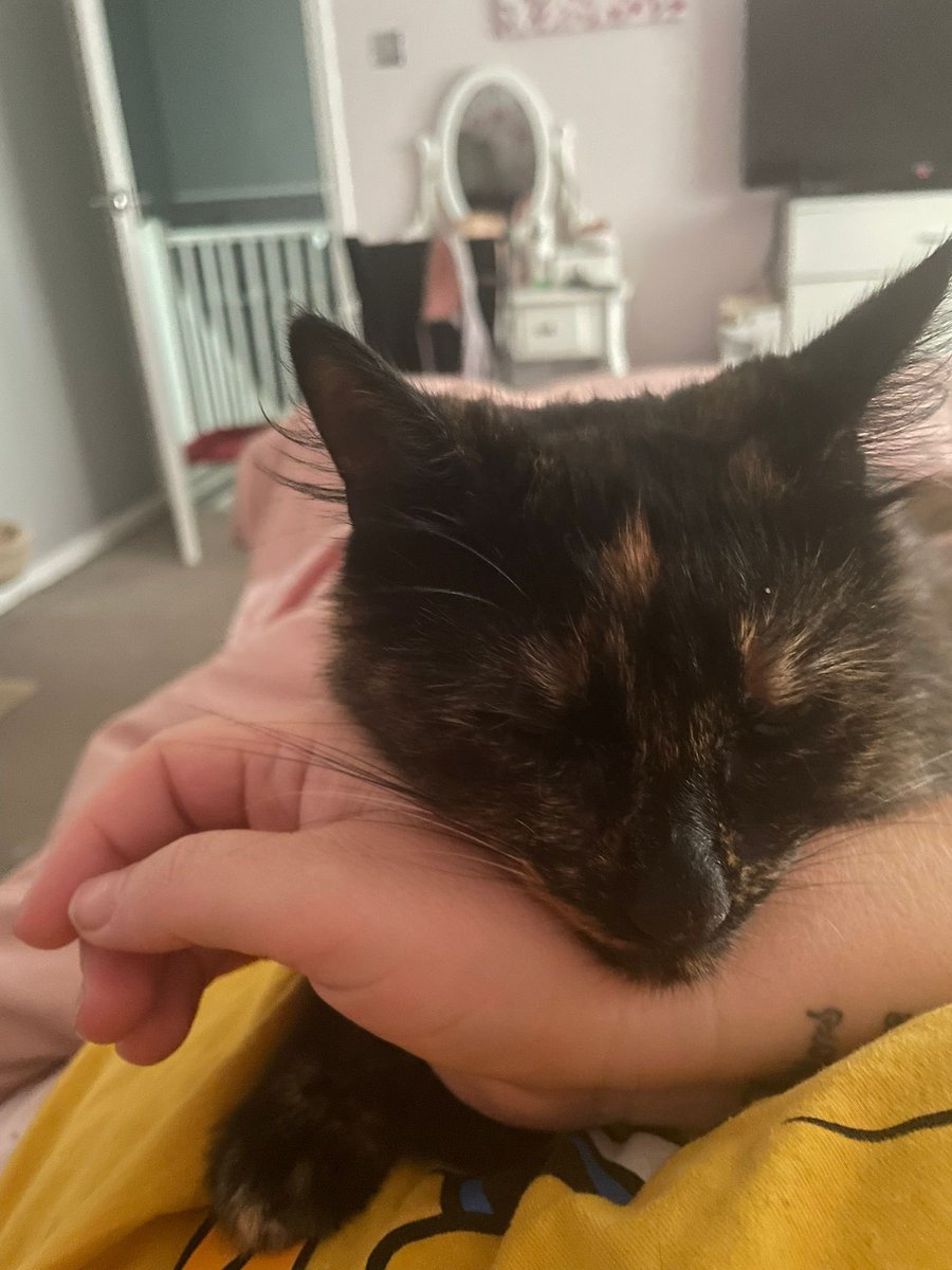 Zac Austin tweet media