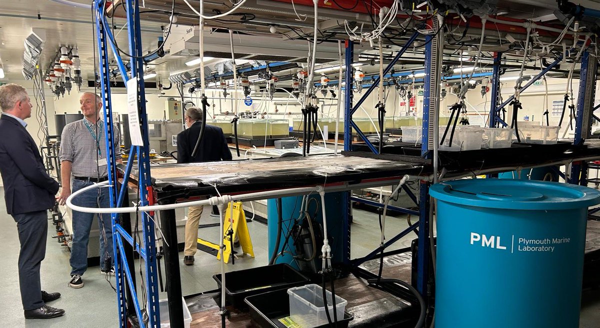 Plymouth Marine Lab tweet media