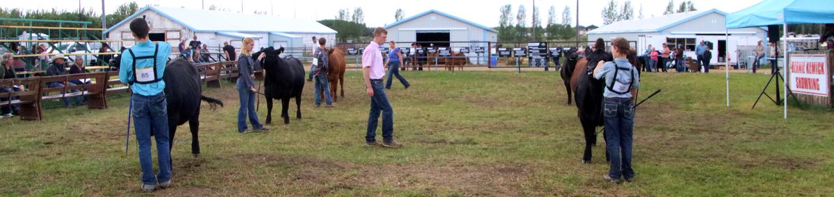 Juniors, send in any achievements for the Fall Gelbvieh Guide by Friday to gelbvieh@gelbvieh.ca! #Gelbvieh #Balancer
📷Averie Elizabeth at the National Gelbvieh Junior Show