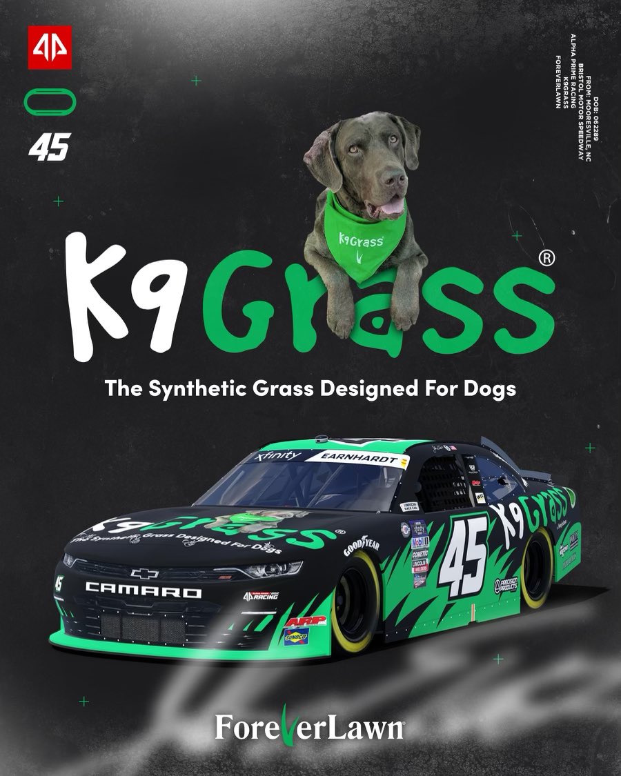 TeamFLRacing's tweet photo. The others arenβt ready to #runwiththebigdog @ItsBristolBaby π₯πΎ
#K9GrassByForeverLawn #grasswithoutlimits #haulgrass #blackandgreengrassmachine #nxs #foodcity300 https://t.co/ZhbakKmhDq