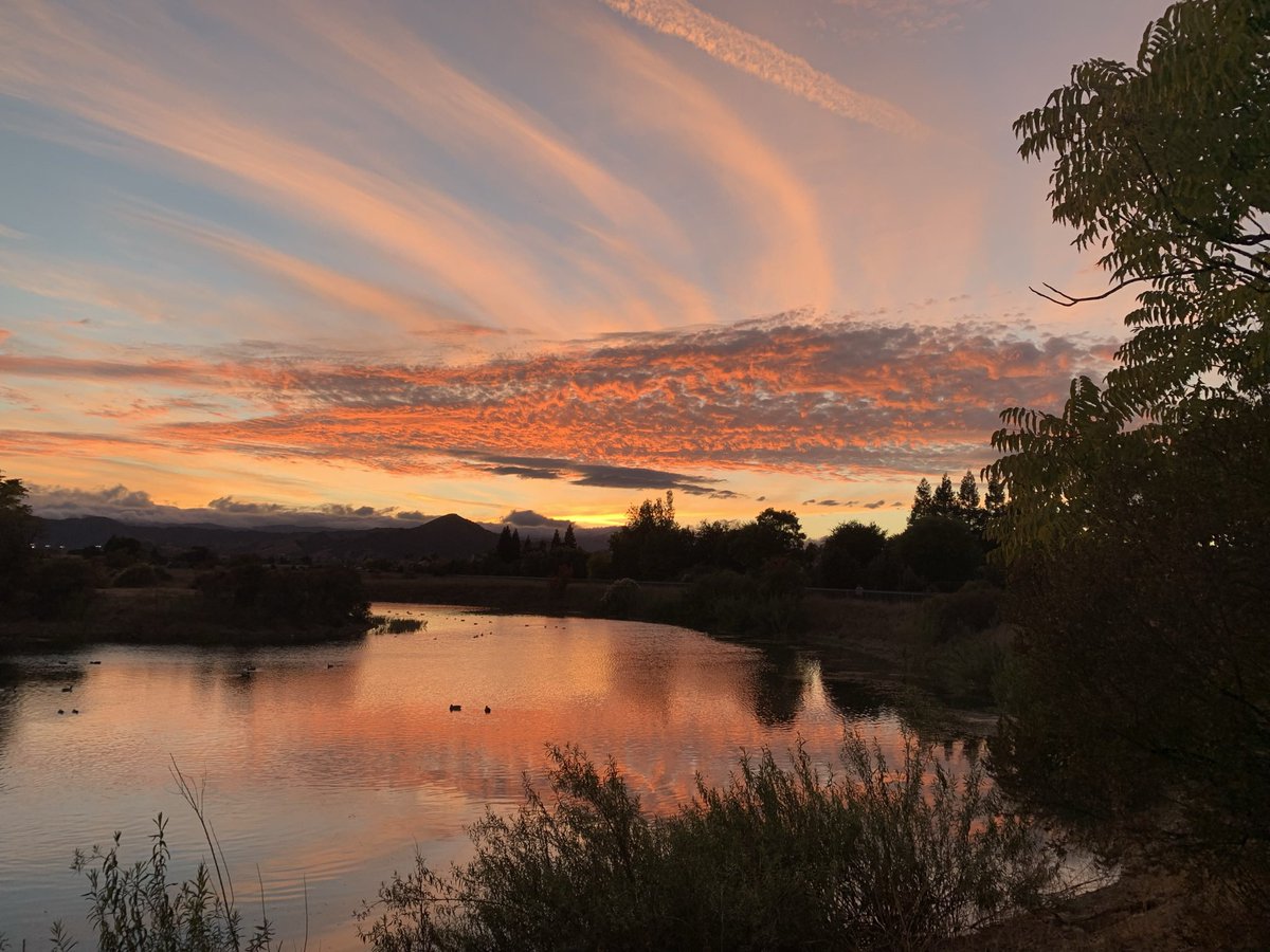 sheilanro8's tweet photo. @Matt_Pinner https://t.co/Ify4YbJ8nC
