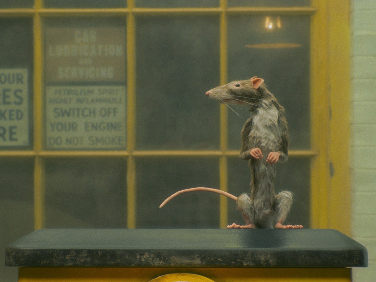 All 4 of Wes Anderson’s Roald Dahl short films release this month.

• ‘The Wonderful Story of Henry Sugar’ - Sep 27
• ‘The Swan’ - Sep 28
- ‘The Ratcatcher’ - Sep 29
- ‘Poison’ - Sep 30

Read our review: bit.ly/SugarDF