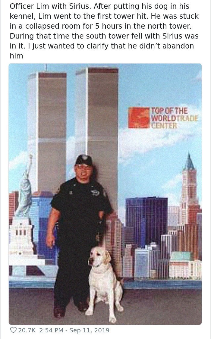 Three Towers fell that Day: the North and South Tower & Building Seven.

Seven Represents COMPLETION.

Three Buildings, Three Pillars, the Sun, the Moon and the Star.

The Star is Sirius, the Star of Isis.

One DOG Died that Day, his name was SIRIUS.

GOD LIVED????DEVIL DOG 
