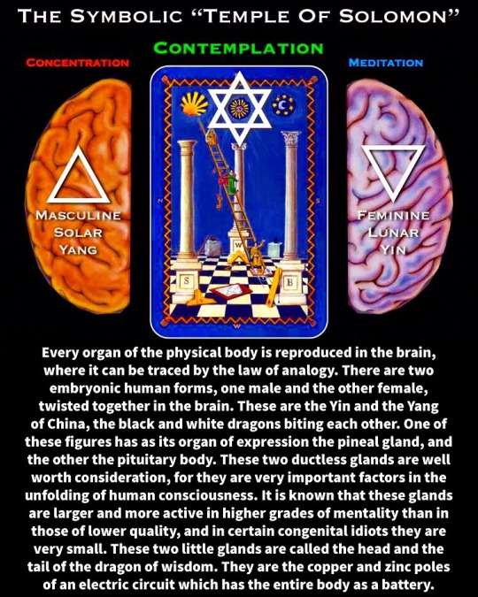 In the Ritual, the Twin Towers were the Lead Stage of the Alchemical Process.

While the ONE Freedom Tower represented the Alchemical Gold, the Completion of the Great Work, the Synthesis of ALL Opposites into a New Singular Form. 