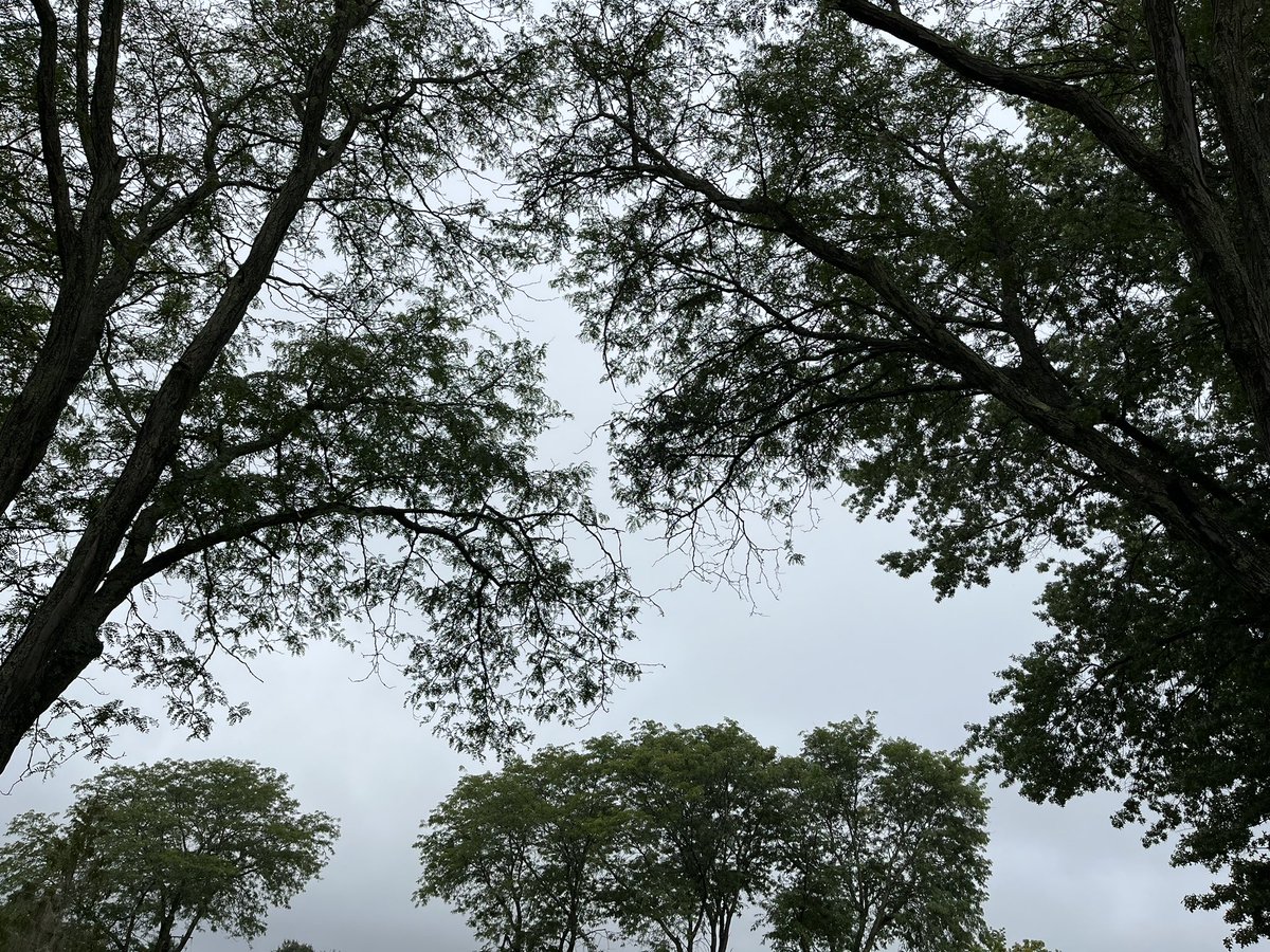 Mrs. Fanning tweet media