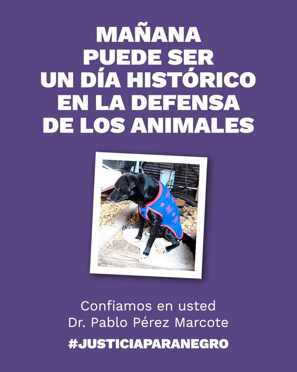 barbarafloris's tweet photo. https://t.co/1Cp4PmAYrK