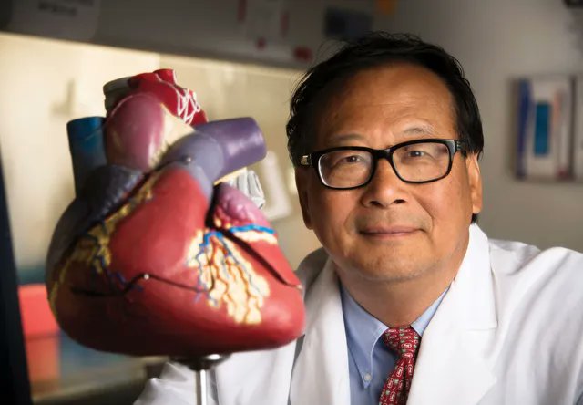 Jianyi 'Jay' Zhang, M.D., Ph.D., @uabbme chair, published new research in @CircRes on finding a modified mRNA that aids heart attack recovery in mouse and pig models. Read the @UABNews story: buff.ly/3PwXKAm