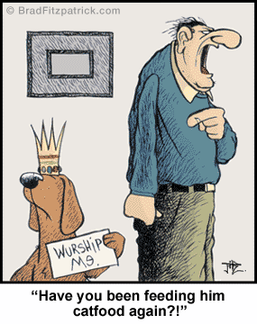 You Daily Cat/Dog Chuckle!  You're Welcome!