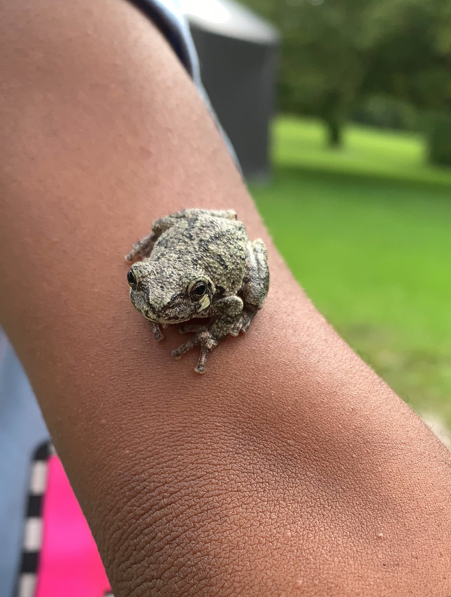 ShaysVision's tweet photo. @BraydenCreation This Lil guy stopped by 🖤 https://t.co/3gNabHDRVj