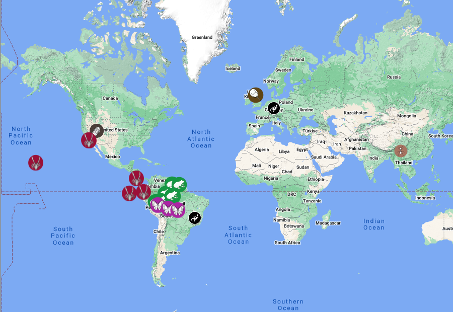 MCZHarvard's tweet photo. MCZ Biodiversity Postdoctoral Fellows have formally described species across the globe. Apply to put your mark on our map - applications for the 2024 Biodiversity Postdoctoral Fellows are due on September 30. Application at https://t.co/ZfGnTkk4cD #CollectionsAreEssential https://t.co/ZOcVWLwZSp