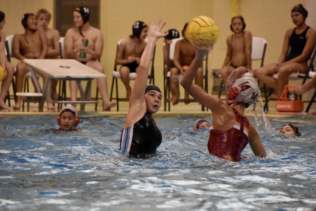 Tiger Water Polo tweet media