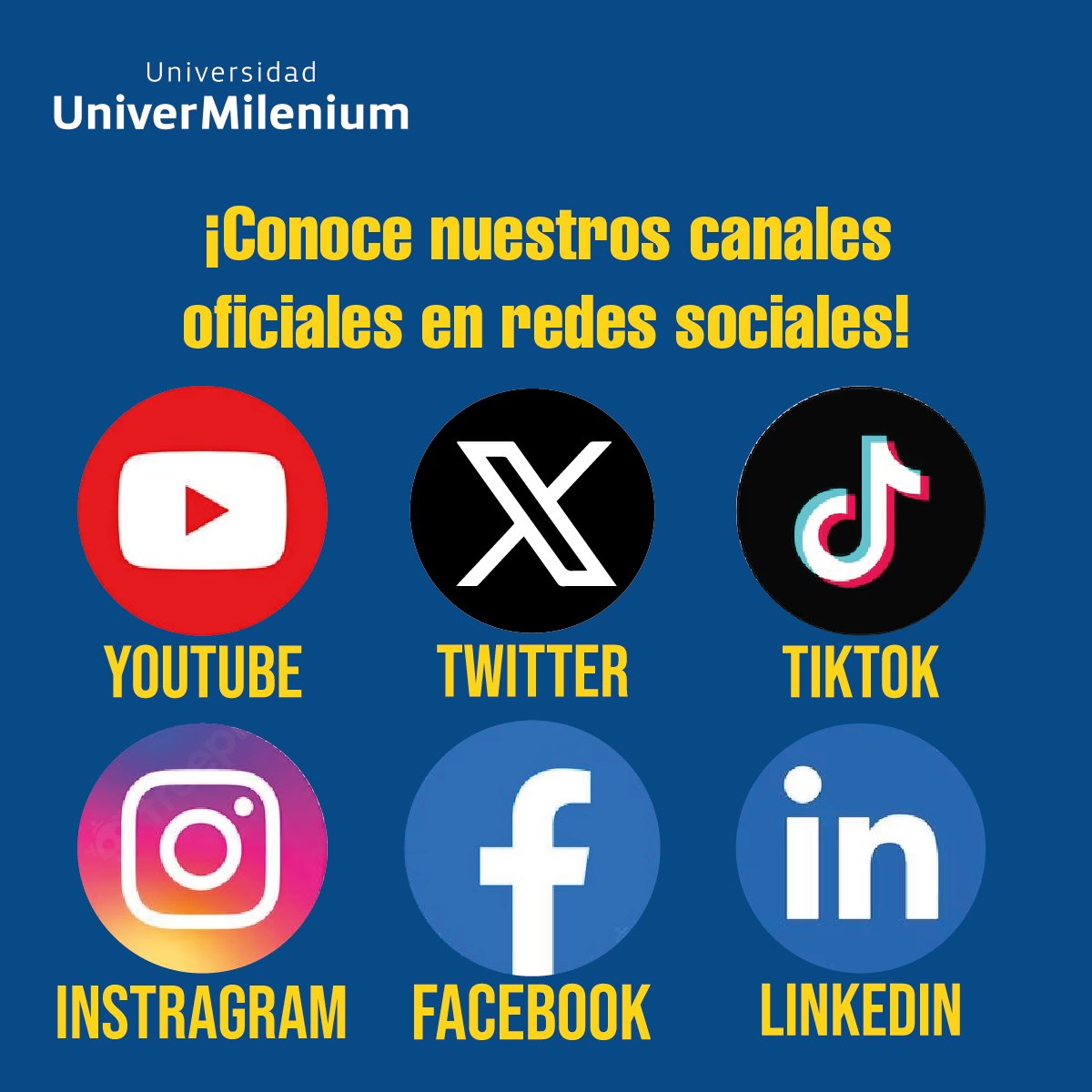 UniverMilenium tweet media
