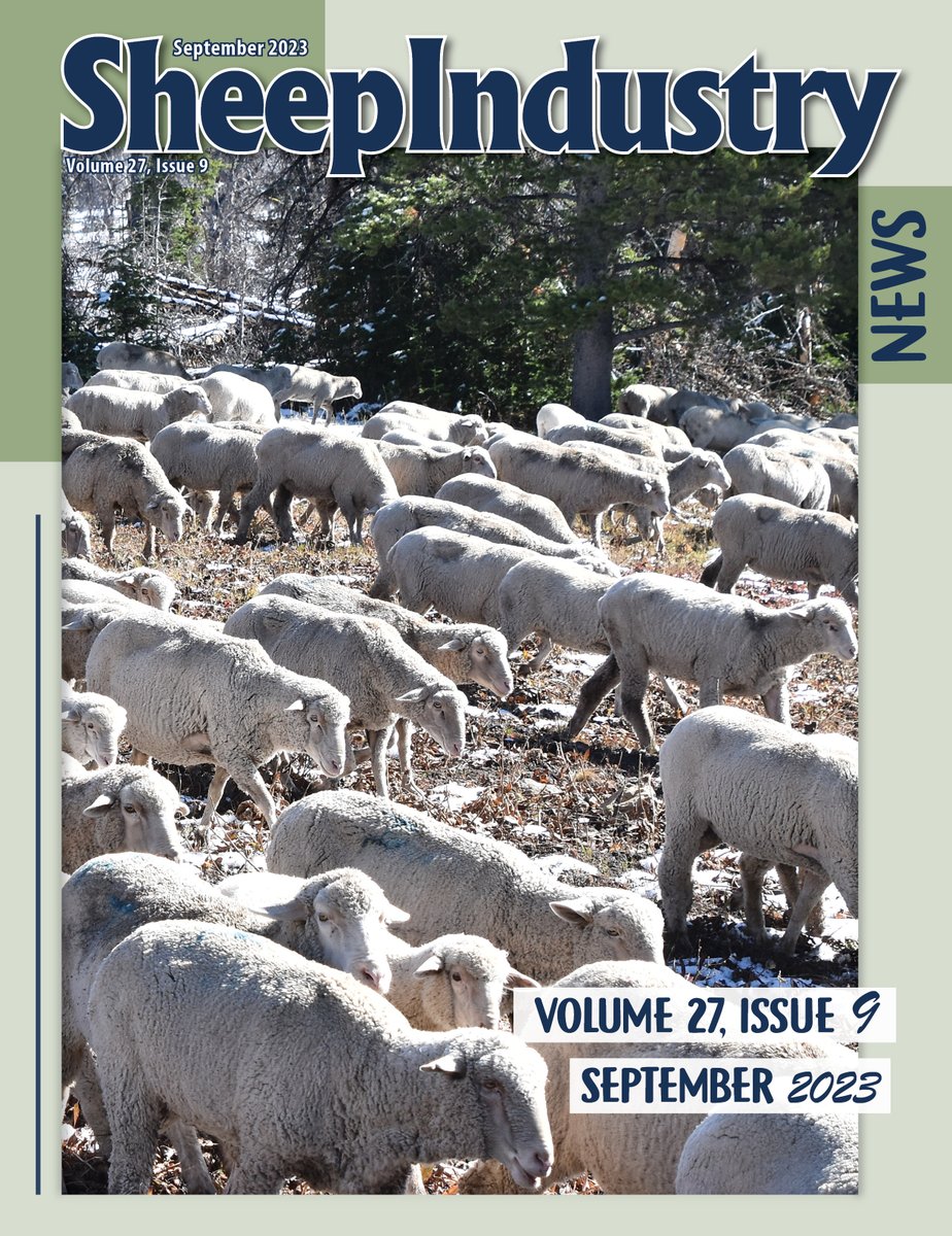 Check out the September 2023 issue of the Sheep Industry News, packed with prices and production, ASI Executive board meeting in Idaho and more...
Read it online at:
digitaledition.pub/wc/asia/Sheep-…