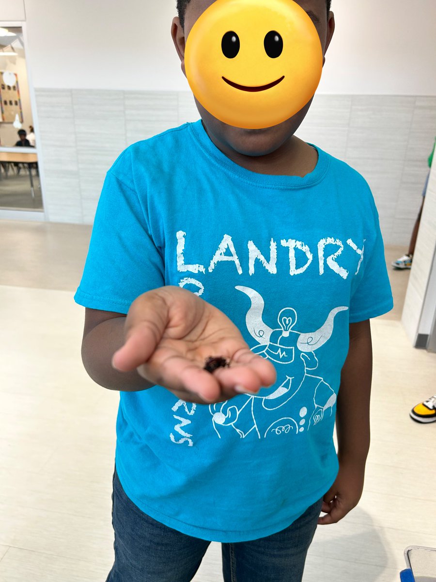 Our 5th graders aren’t afraid to get their hands dirty! They know that earthworms play an important role in our ecosystems 🪱🌎 <a href="/LandryLonghorns/">Tom Landry Elementary School</a> <a href="/CFBISD/">Carrollton-Farmers Branch ISD</a> <a href="/Cockerhame/">Eric Cockerham</a> <a href="/TolliverAP/">Whitney Tolliver</a> @mstranstem <a href="/christy_clain/">Christy McClain</a>
