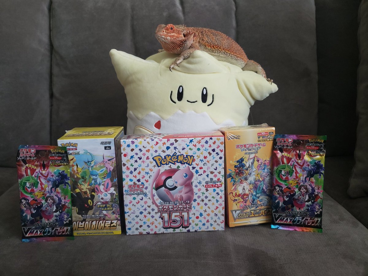 We are back! Tonight on #twitch, Blurrg and I will be opening a few boxes from the original land of #Pokemon, #Japan! 151. Vstar Universe, Korean Evee Heroes and more! Join us at twitch.tv/Poketrey24 around 8pm eastern!