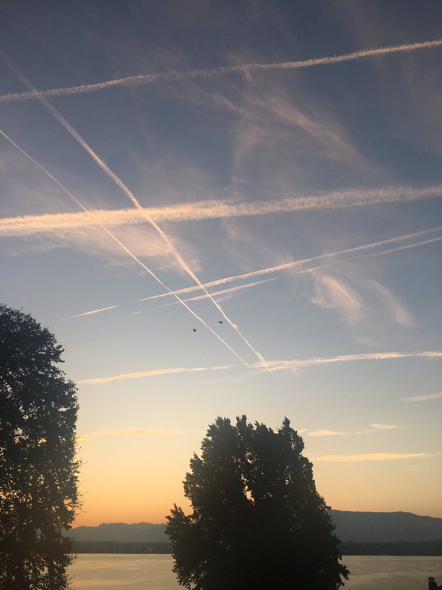 harphat's tweet image. #flyless