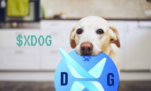 BullMarketInfo's tweet photo. π Xdogtoken, Now Listed on Coingecko! π
Xdogtoken is swiftly progressing on its path to become the token of the future, and now, it's gaining even more visibility by listing on Coingecko. π
But we're not stopping here! Following the Coingecko listing, Xdogtoken will apply for listings on different exchanges, meaning more liquidity and a broader investor base. ππ
Join the journey and witness the rise of Xdogtoken! ππΎ #CryptoForGood