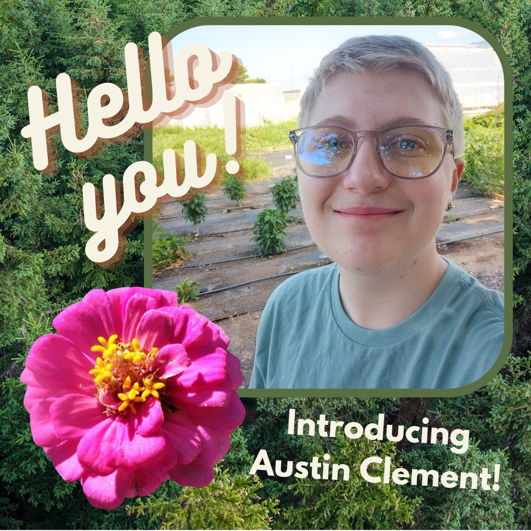 our_pantry's tweet image. Hello! I'm Austin, Our Neighbors Farm &amp;amp; Pantry's AmeriCorps VISTA. As an AmeriCorps, I work on the Fundraising Plan for Our Neighbors Farm &amp;amp; Pantry and reach out to the community.  #ONFP #saffordAZ #grahamcounty #AmeriCorps #AmeriCorpsVISTA #service #volunteer #Safford