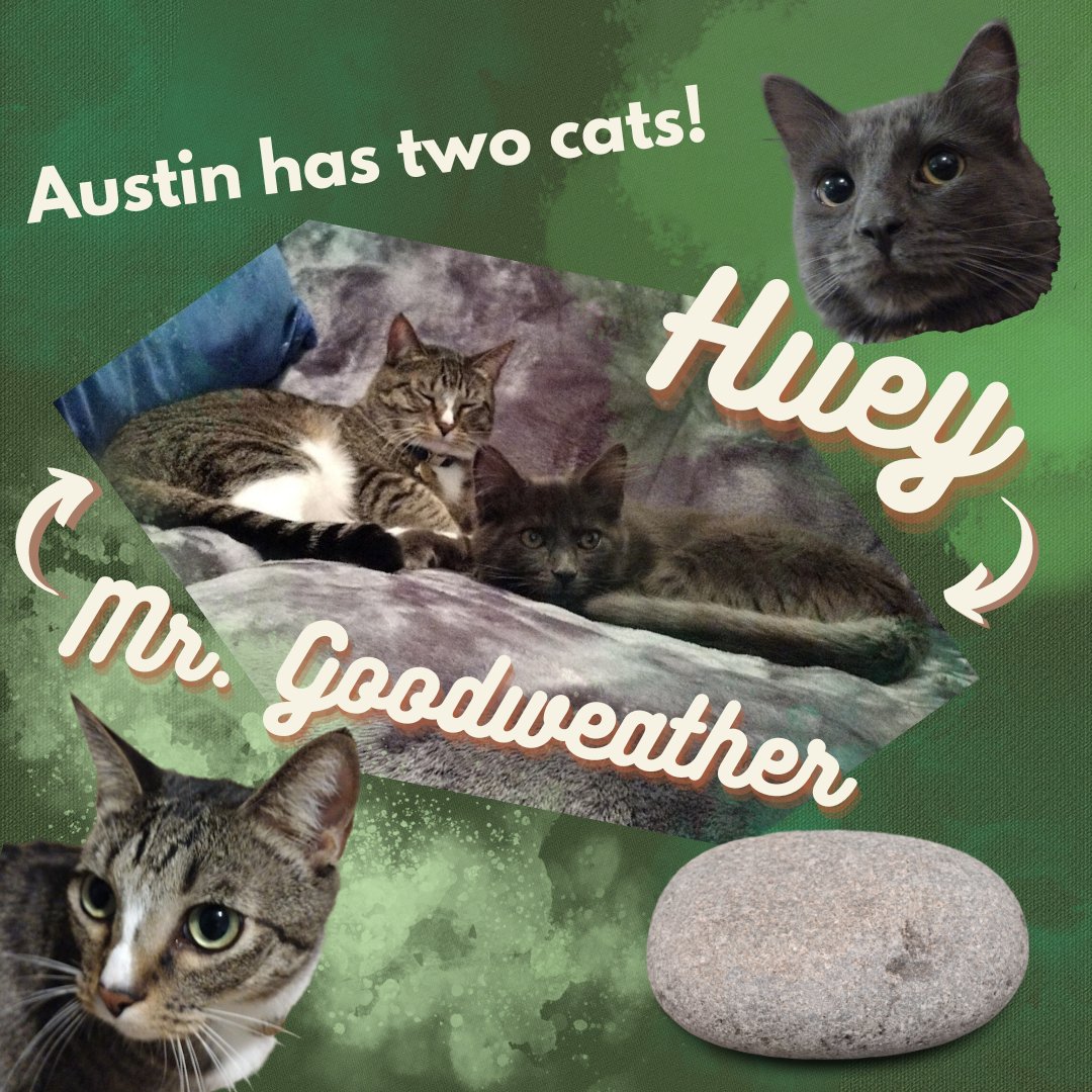 our_pantry's tweet image. Hello! I'm Austin, Our Neighbors Farm &amp;amp; Pantry's AmeriCorps VISTA. As an AmeriCorps, I work on the Fundraising Plan for Our Neighbors Farm &amp;amp; Pantry and reach out to the community.  #ONFP #saffordAZ #grahamcounty #AmeriCorps #AmeriCorpsVISTA #service #volunteer #Safford