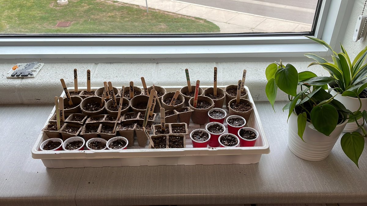 Today we discussed Growth Mindset and what plants need to thrive. We then continued our conversation to what we need to thrive.