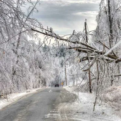 ConstructCanMag's tweet photo. Reducing Canada’s carbon footprint with sustainable insulation https://t.co/grkMkSsir2 #canadianconstructionindustry #carbonfootprint #insulation #sustainability #thermalinsulation https://t.co/oLlu7G8lzJ