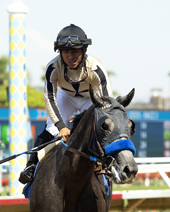sadlerracing's tweet image. Home-bred Naida broke her maiden 1st time out #sadlerstyle #wiretowire @DelMarRacing for her owners Cicero Farms. Congratulations! And a huge thank you to our racing team! @johnwsadler @JuanLeyva1984 @NathalieDarley @EnriqueDMiranda