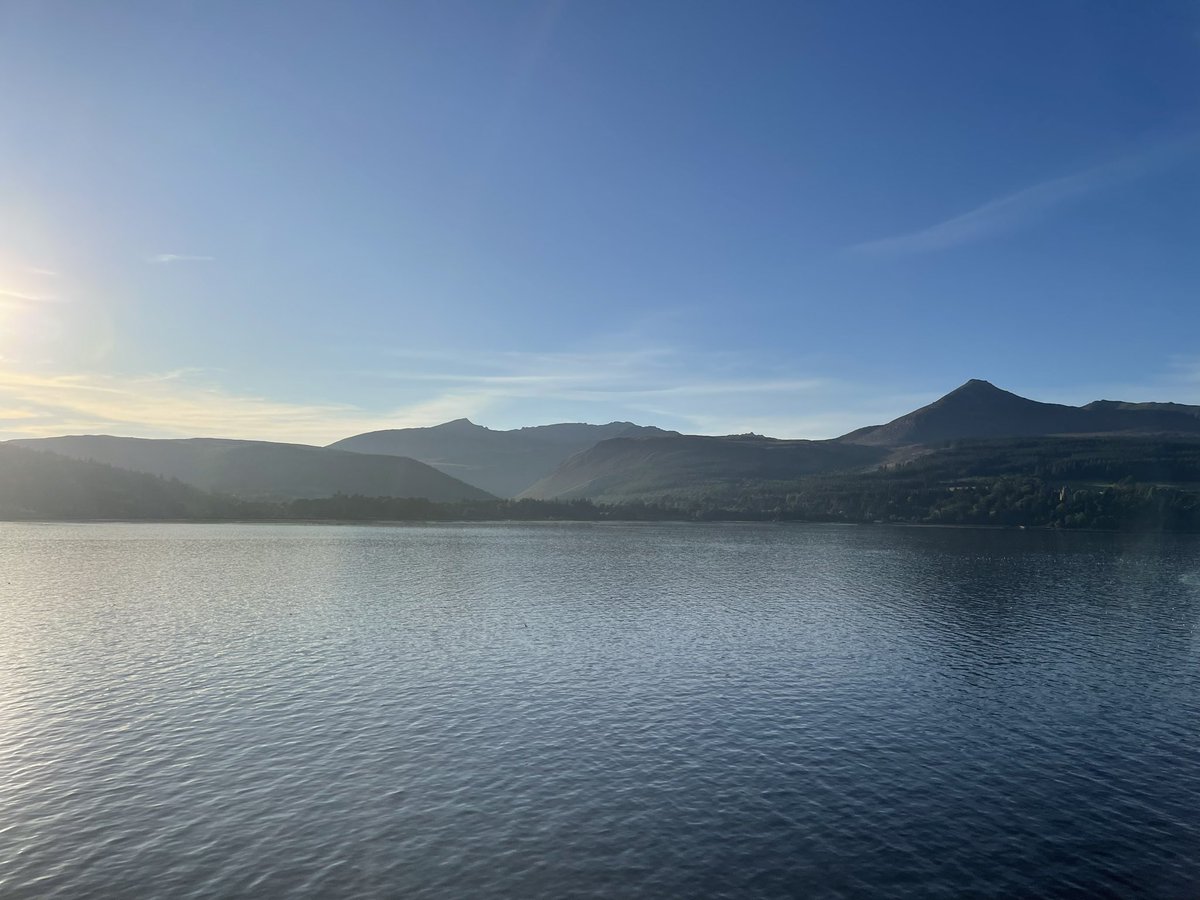 Tara Williams tweet media