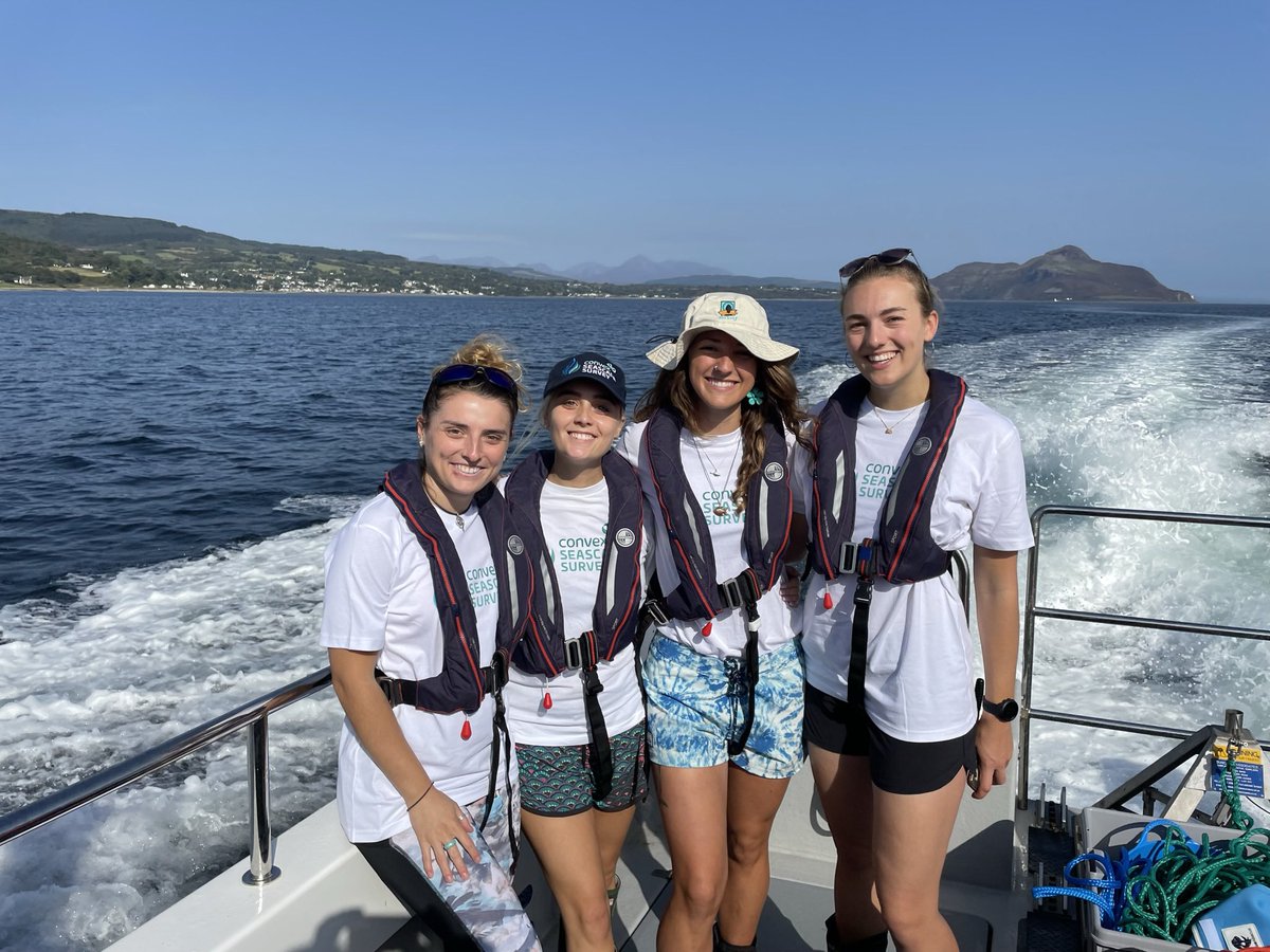 Tara Williams tweet media