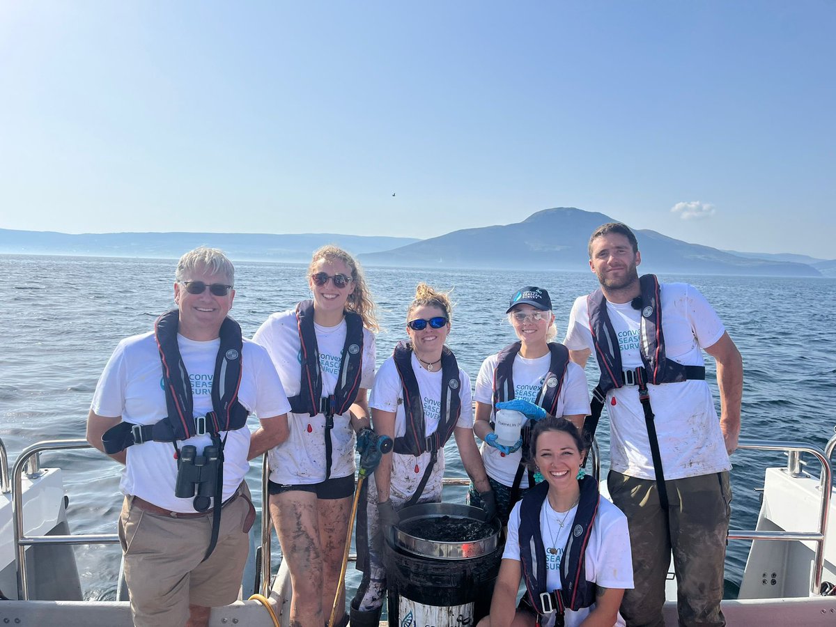 Tara Williams tweet media