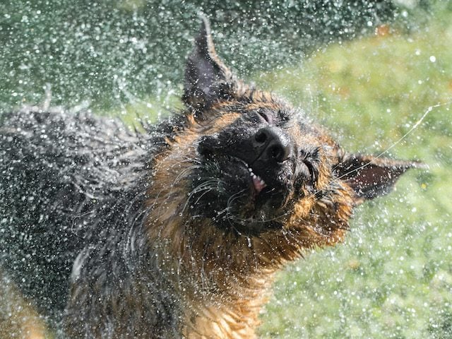 How to Shake Up Your Approach to Remote Work by <a href="/goffee71/">Geoff Spick</a> #employeeexperience  reworked.co/employee-exper…