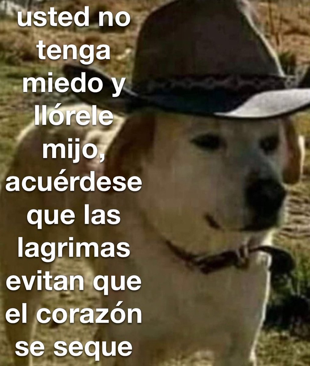 conoloracigarro's tweet photo. sin miedo https://t.co/wIuqm3Qe3y