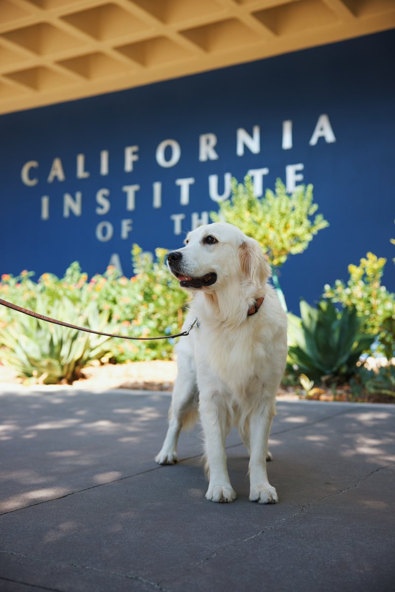 Annette says happy first day of classes CalArtians! Please send other greetings from the <a href="/CalArts/">CalArts</a> dog community!
[photo: Rafael Hernandez]