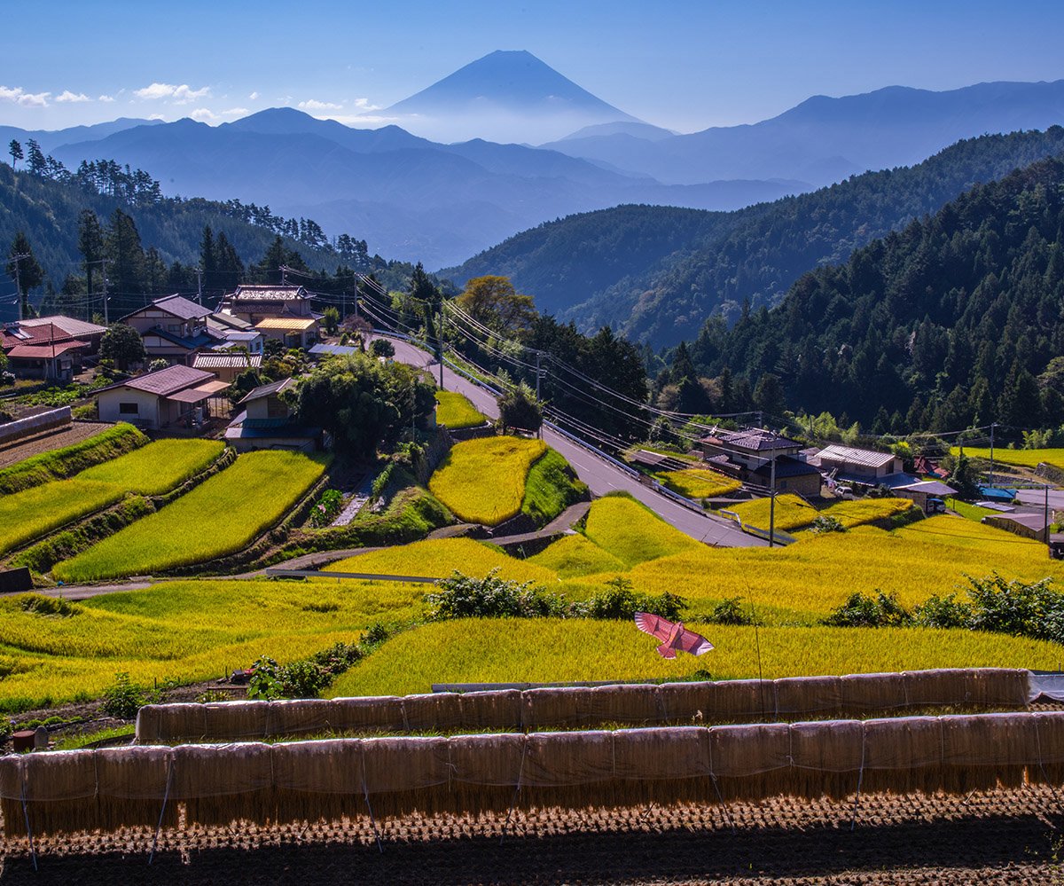 稲収穫の里山

富士川町で以前撮影

#富士山　#稲刈り　#里山
